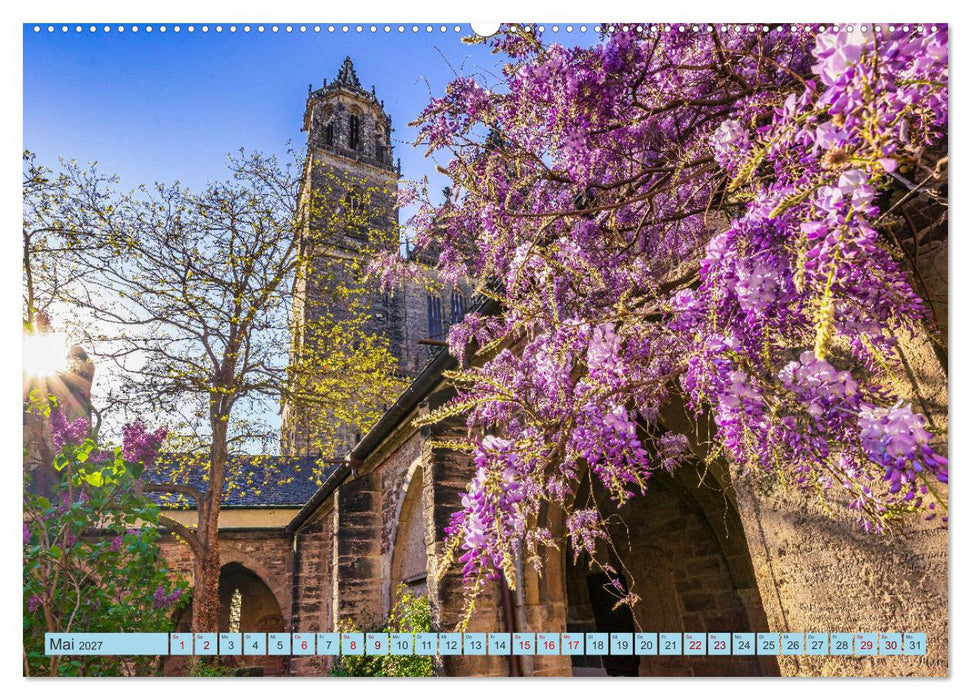 Magdeburger Dom 2027 (CALVENDO Wandkalender 2027)