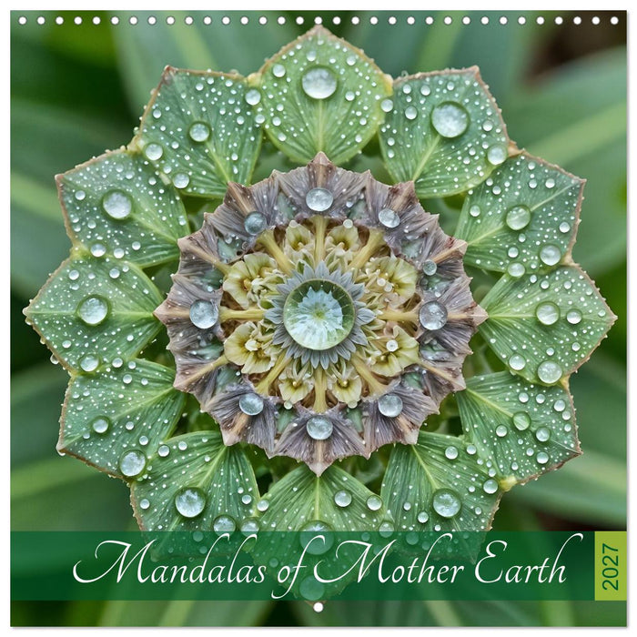Mandalas of Mother Earth (CALVENDO Monthly Calendar 2027)
