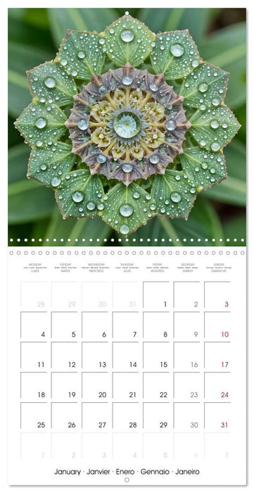 Mandalas of Mother Earth (CALVENDO Monthly Calendar 2027)
