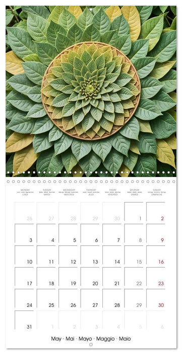 Mandalas of Mother Earth (CALVENDO Monthly Calendar 2027)
