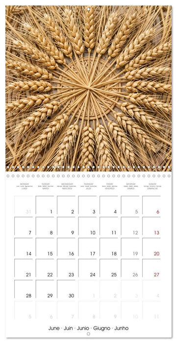 Mandalas of Mother Earth (CALVENDO Monthly Calendar 2027)