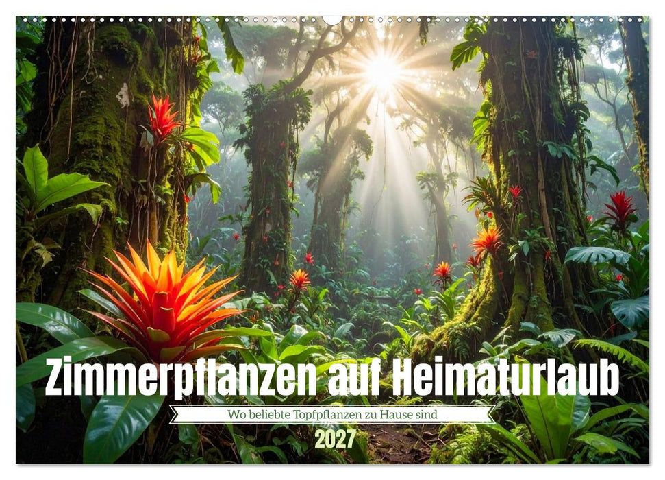 Zimmerpflanzen auf Heimaturlaub (CALVENDO Wandkalender 2027)