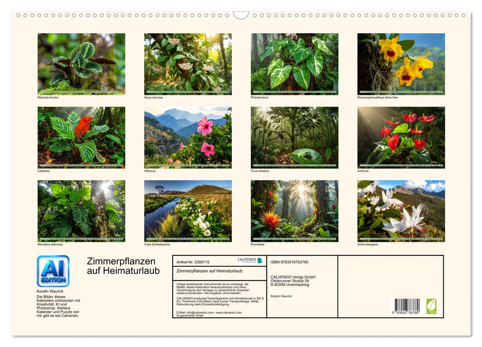 Zimmerpflanzen auf Heimaturlaub (CALVENDO Wandkalender 2027)