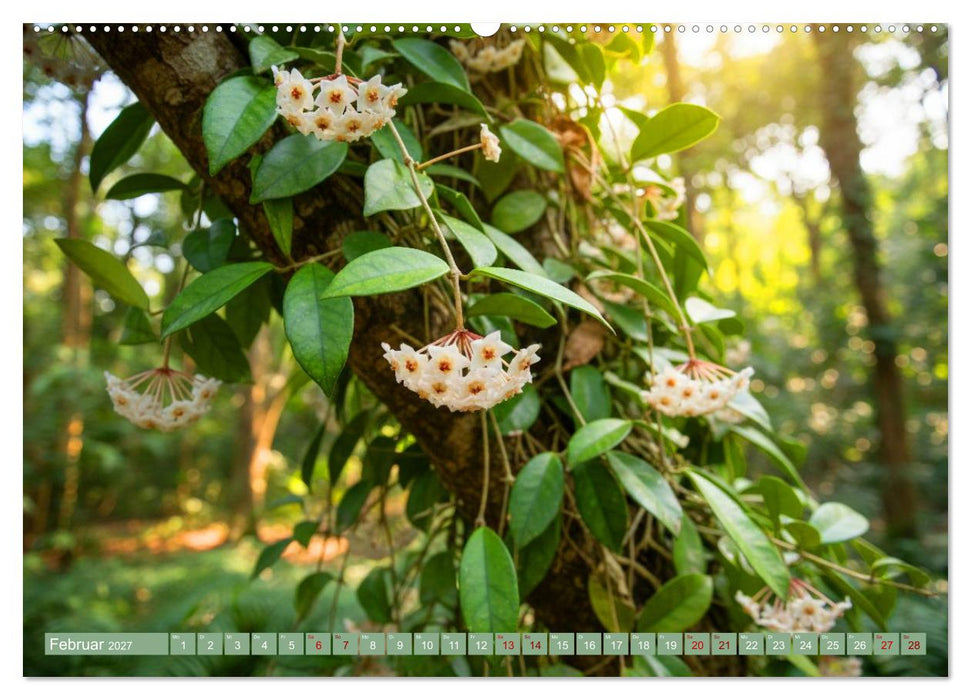 Zimmerpflanzen auf Heimaturlaub (CALVENDO Wandkalender 2027)