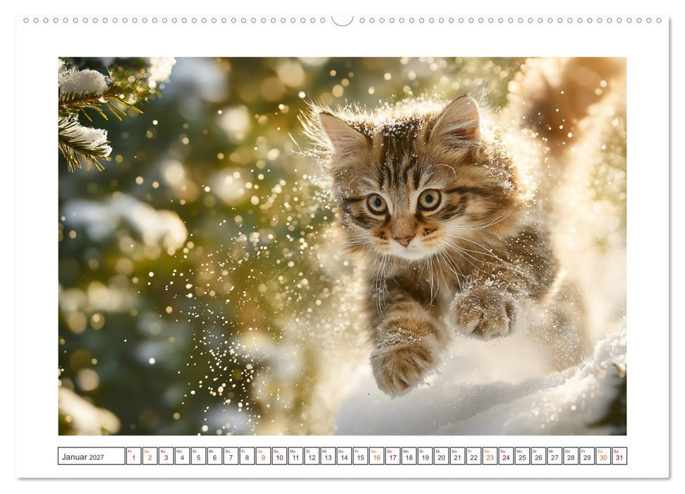 Miau macht glücklich (CALVENDO Wandkalender 2027)