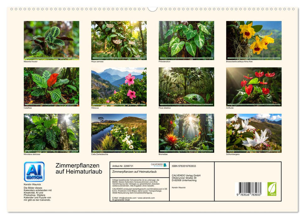 Zimmerpflanzen auf Heimaturlaub (CALVENDO Premium Wandkalender 2027)