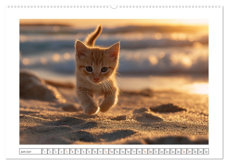 Miau macht glücklich (CALVENDO Premium Wandkalender 2027)