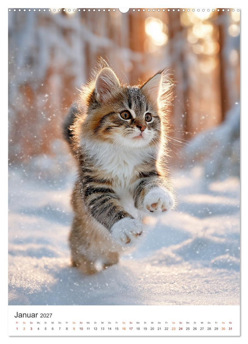 Flauschalarm (CALVENDO Premium Wandkalender 2027)