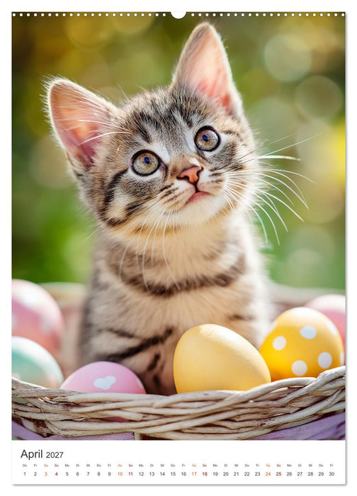 Flauschalarm (CALVENDO Premium Wandkalender 2027)
