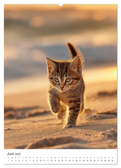 Flauschalarm (CALVENDO Premium Wandkalender 2027)