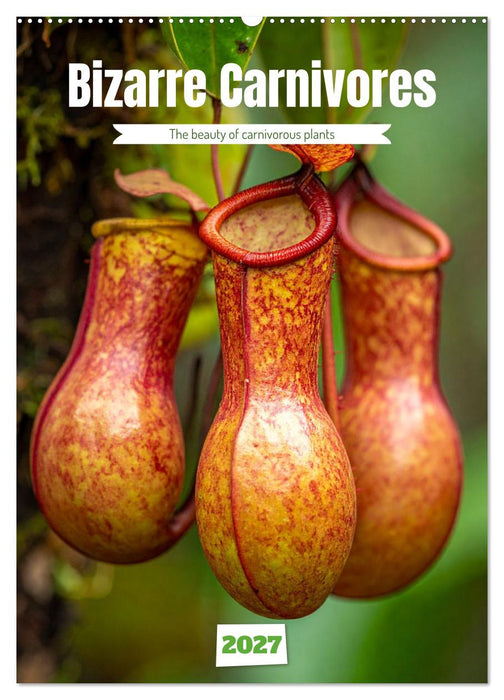 Bizarre Carnivores (CALVENDO Monthly Calendar 2027)