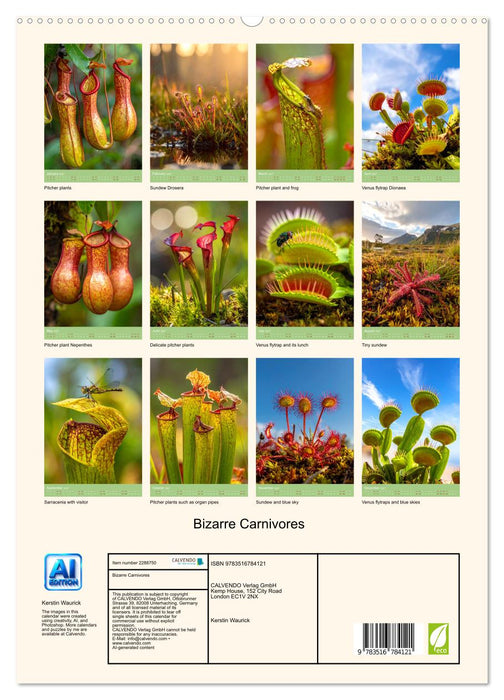 Bizarre Carnivores (CALVENDO Premium-Calendar 2027)