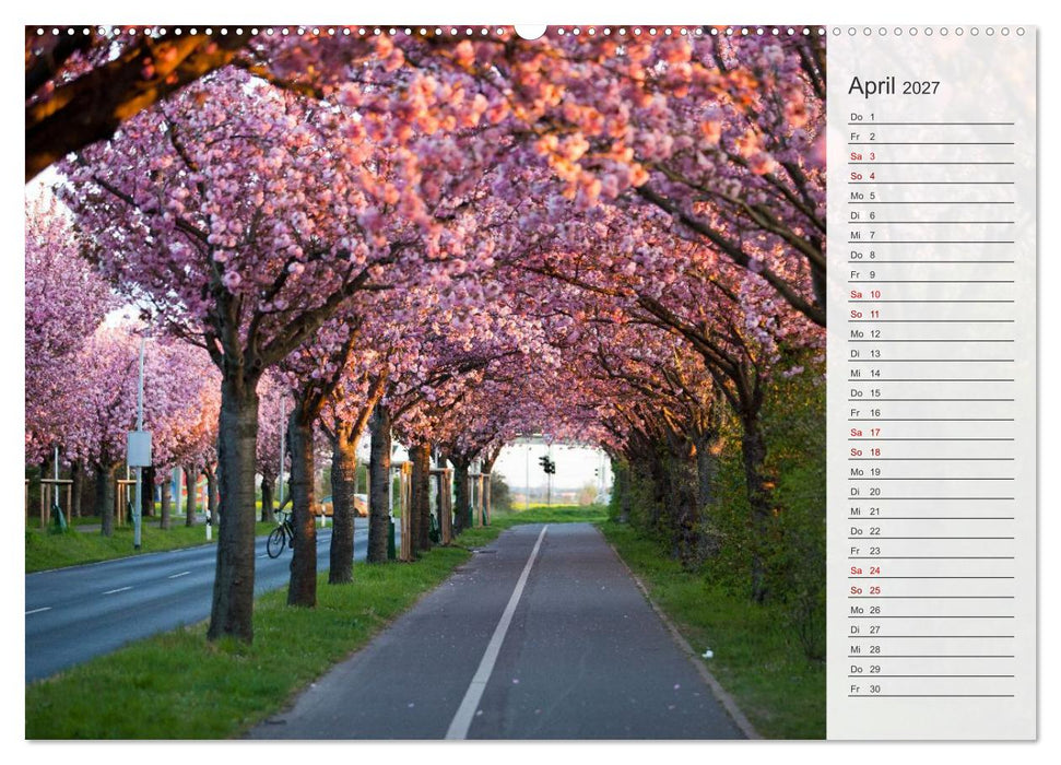 Magdeburg an der Elbe - Der Planer (CALVENDO Wandkalender 2027)