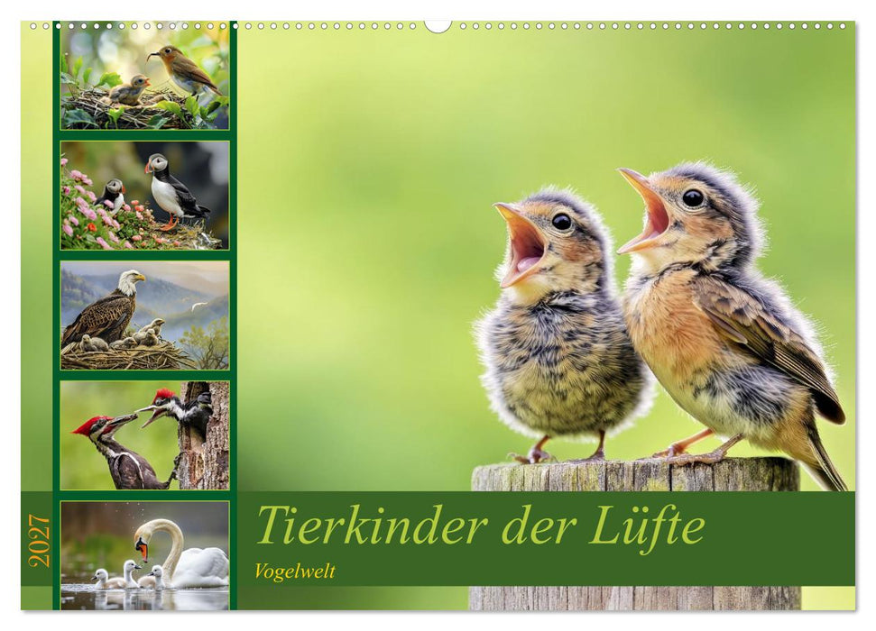 Tierkinder der Lüfte - Vogelwelt (CALVENDO Wandkalender 2027)