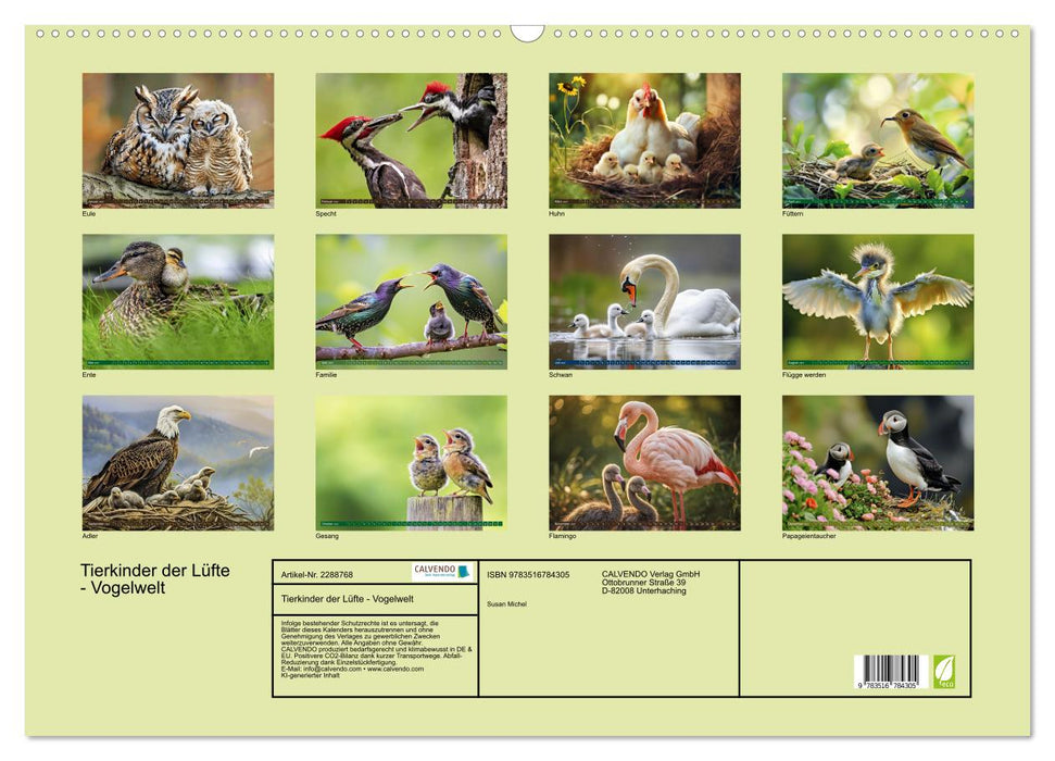 Tierkinder der Lüfte - Vogelwelt (CALVENDO Wandkalender 2027)