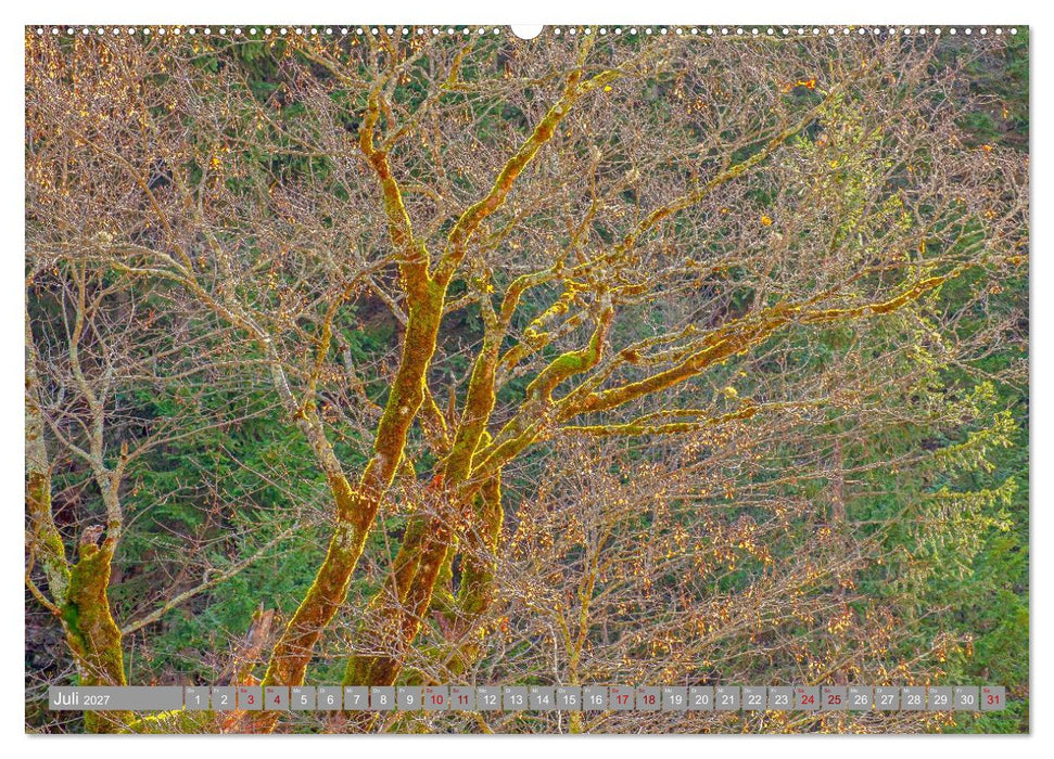 Herbst. Die letzten Farben des Jahres (CALVENDO Premium Wandkalender 2027)