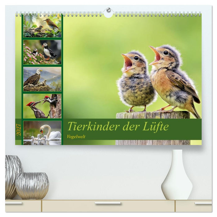 Tierkinder der Lüfte - Vogelwelt (CALVENDO Premium Wandkalender 2027)