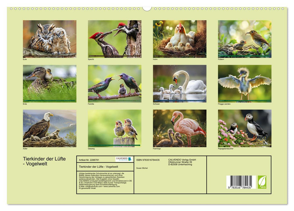Tierkinder der Lüfte - Vogelwelt (CALVENDO Premium Wandkalender 2027)