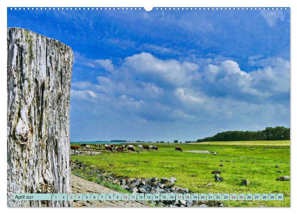 Magische Küste Zeeland (CALVENDO Premium Wandkalender 2027)