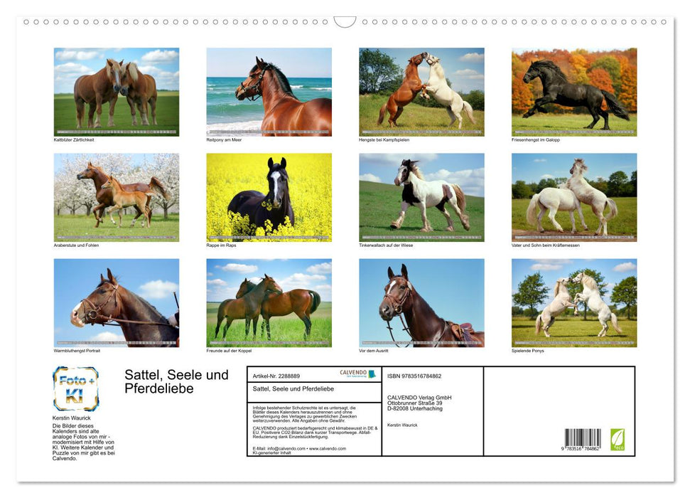 Sattel, Seele und Pferdeliebe (CALVENDO Wandkalender 2027)