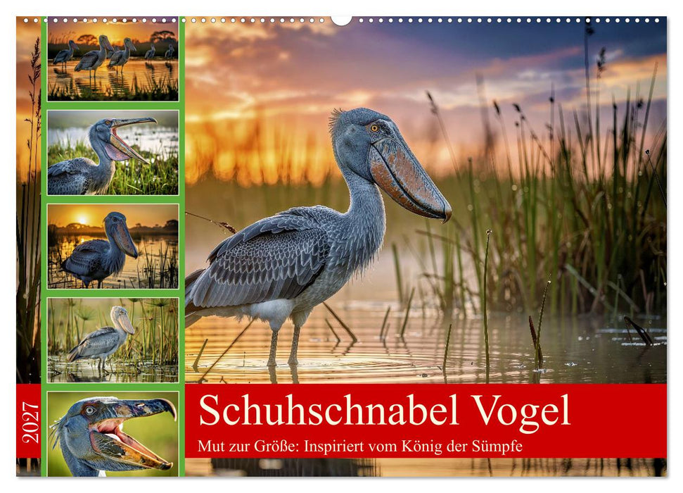 Schuhschnabel Vogel (CALVENDO Wandkalender 2027)