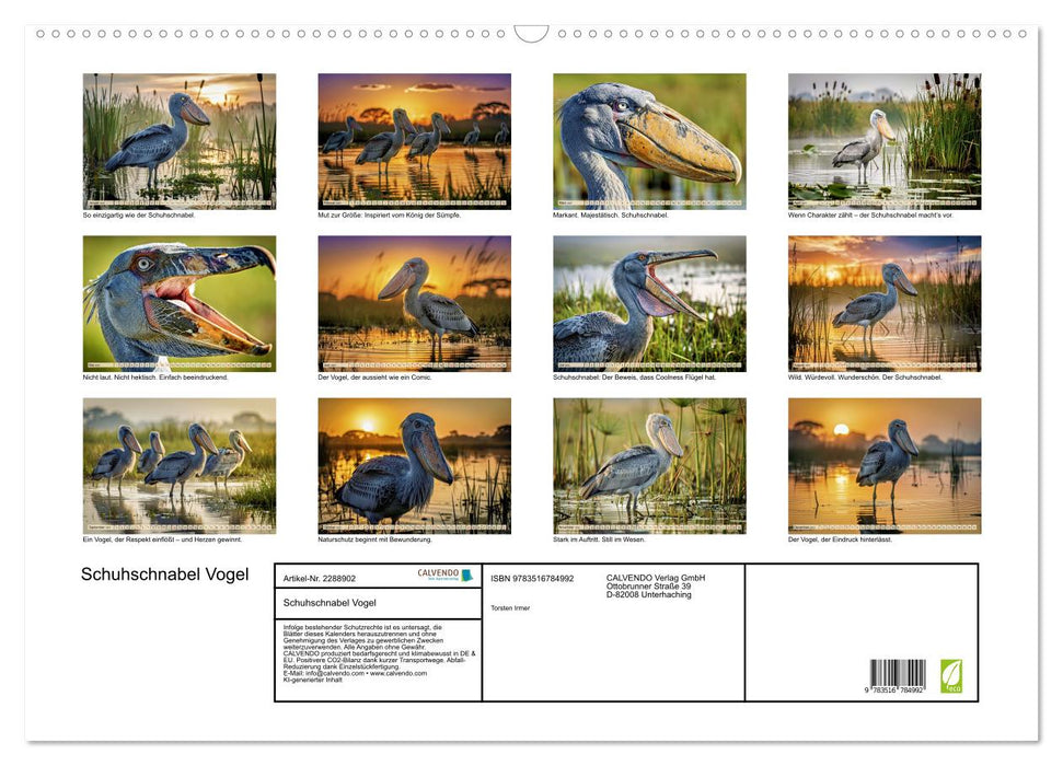Schuhschnabel Vogel (CALVENDO Wandkalender 2027)