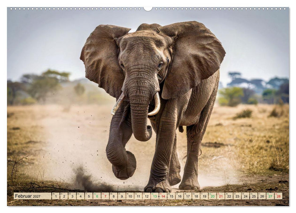 Große und kleine Elefanten (CALVENDO Wandkalender 2027)