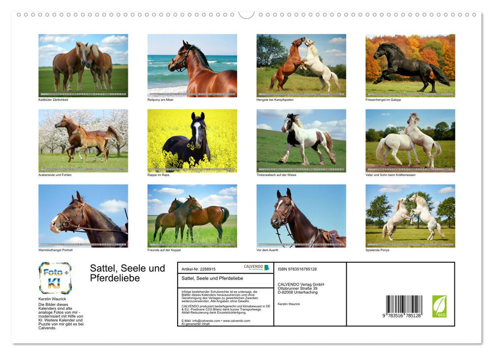 Sattel, Seele und Pferdeliebe (CALVENDO Premium Wandkalender 2027)