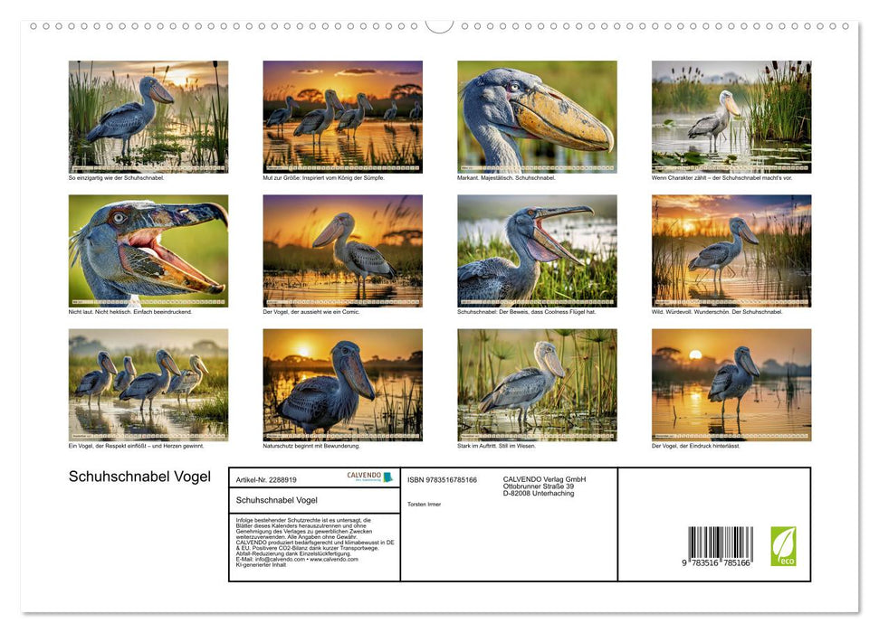 Schuhschnabel Vogel (CALVENDO Premium Wandkalender 2027)