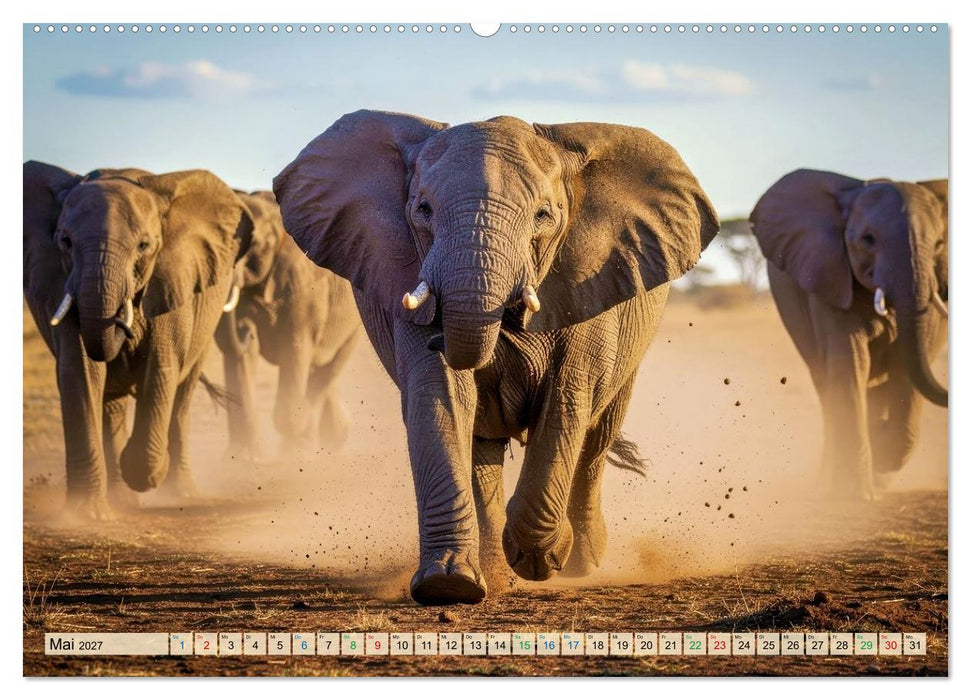 Große und kleine Elefanten (CALVENDO Premium Wandkalender 2027)