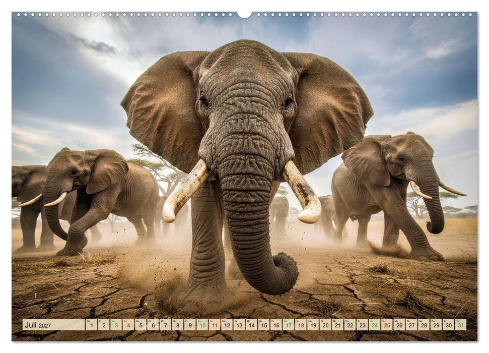 Große und kleine Elefanten (CALVENDO Premium Wandkalender 2027)