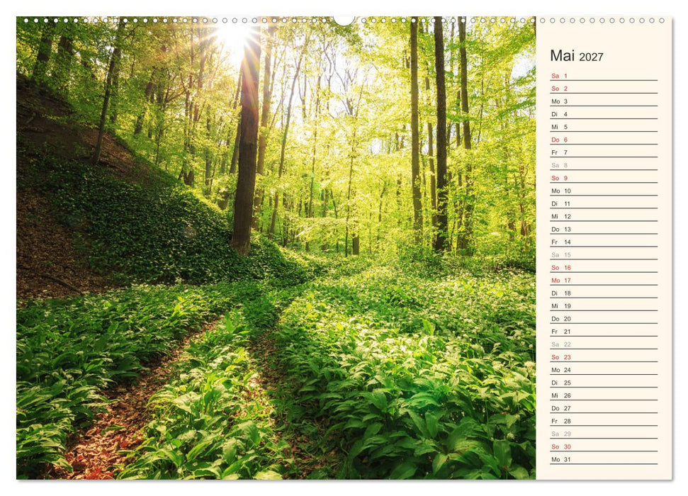 Harzerinnerungen (CALVENDO Premium Wandkalender 2027)