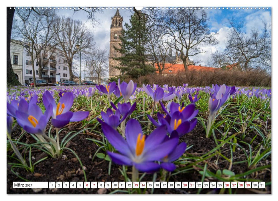 Domperspektiven: Magdeburger Dom - Neu gesehen 2027 (CALVENDO Wandkalender 2027)