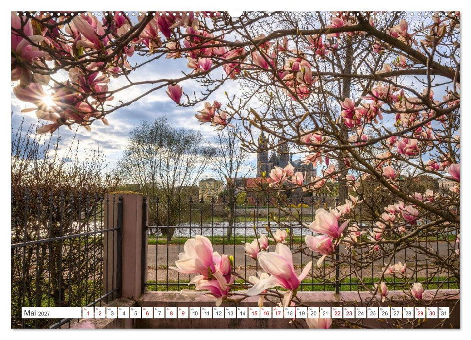 Domperspektiven: Magdeburger Dom - Neu gesehen 2027 (CALVENDO Wandkalender 2027)