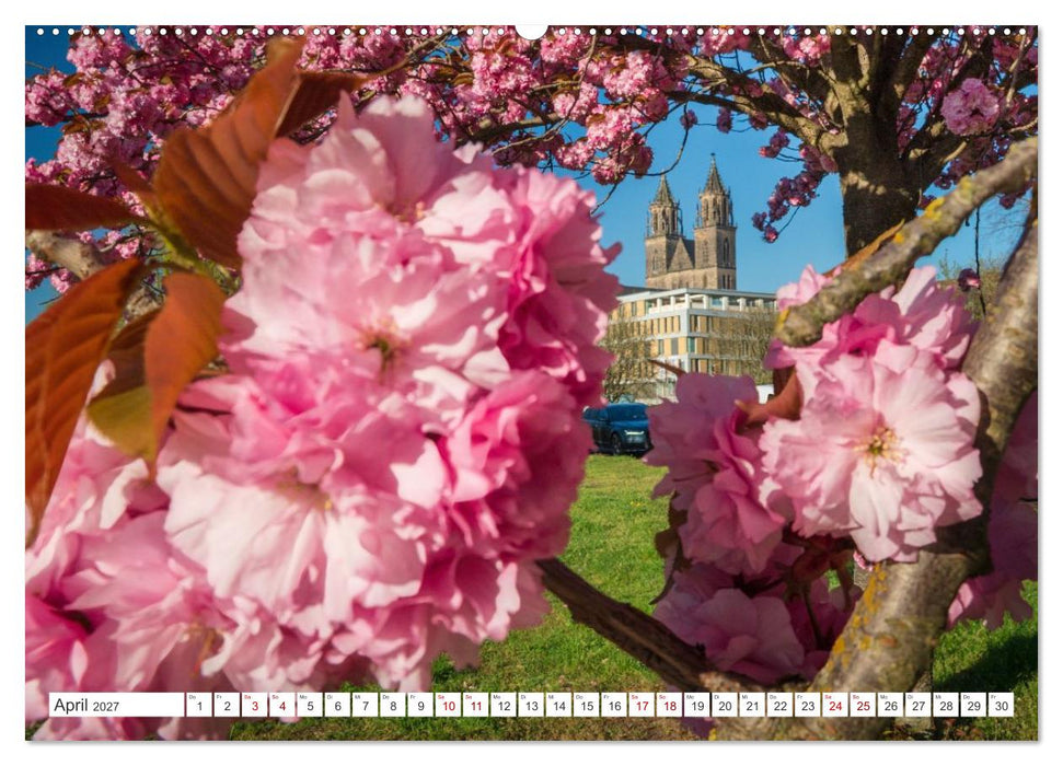 Domperspektiven: Magdeburger Dom - Neu gesehen 2027 (CALVENDO Premium Wandkalender 2027)