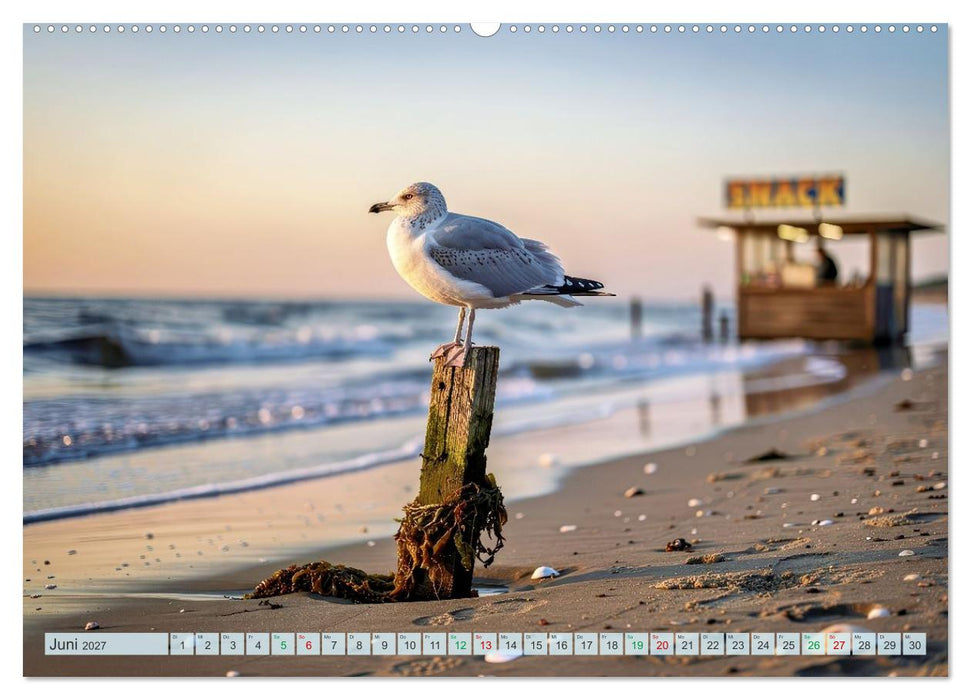 Ostsee Momente (CALVENDO Premium Wandkalender 2027)