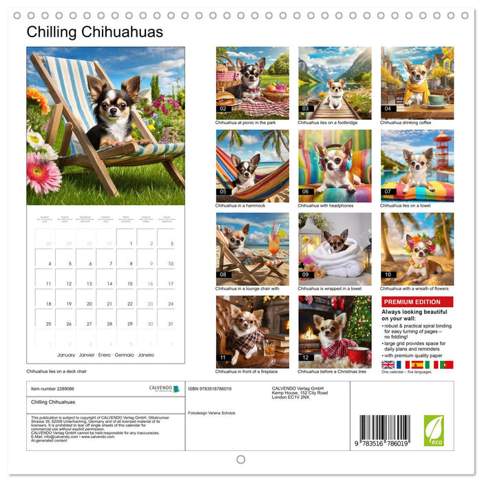 Chilling Chihuahuas (CALVENDO Monthly Calendar 2027)