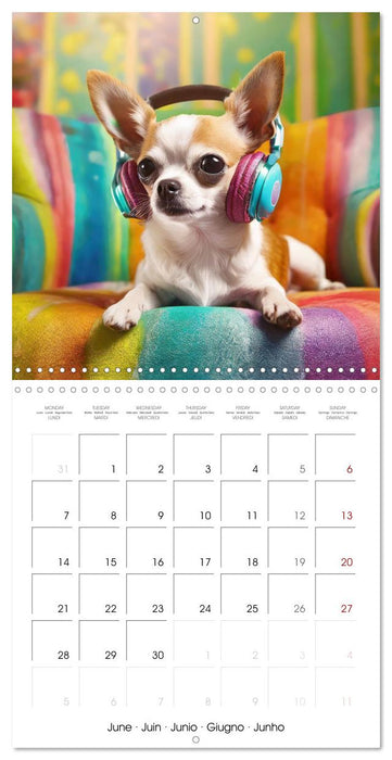 Chilling Chihuahuas (CALVENDO Monthly Calendar 2027)