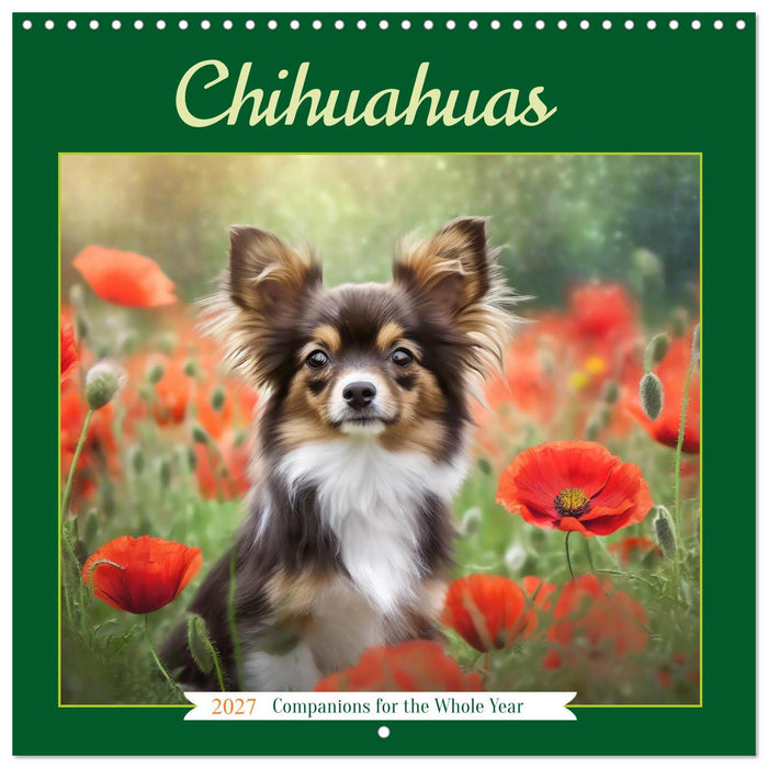 Chihuahuas - Companions for the Whole Year (CALVENDO Monthly Calendar 2027)