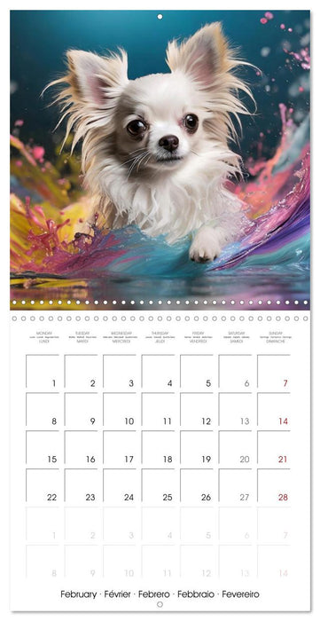 Colourful Splash Dogs (CALVENDO Monthly Calendar 2027)