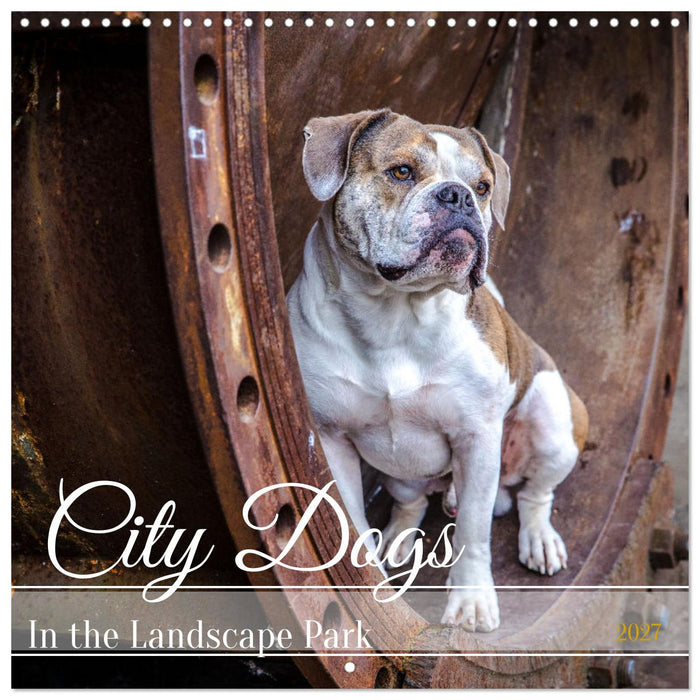 City dogs in the landscape park (CALVENDO Monthly Calendar 2027)