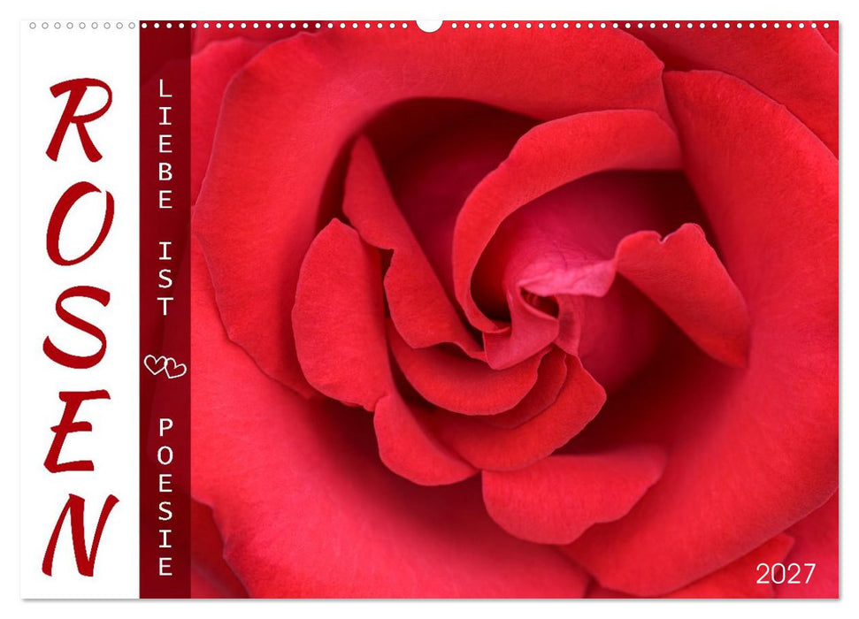 Rosen, Liebe ist (CALVENDO Wandkalender 2027)
