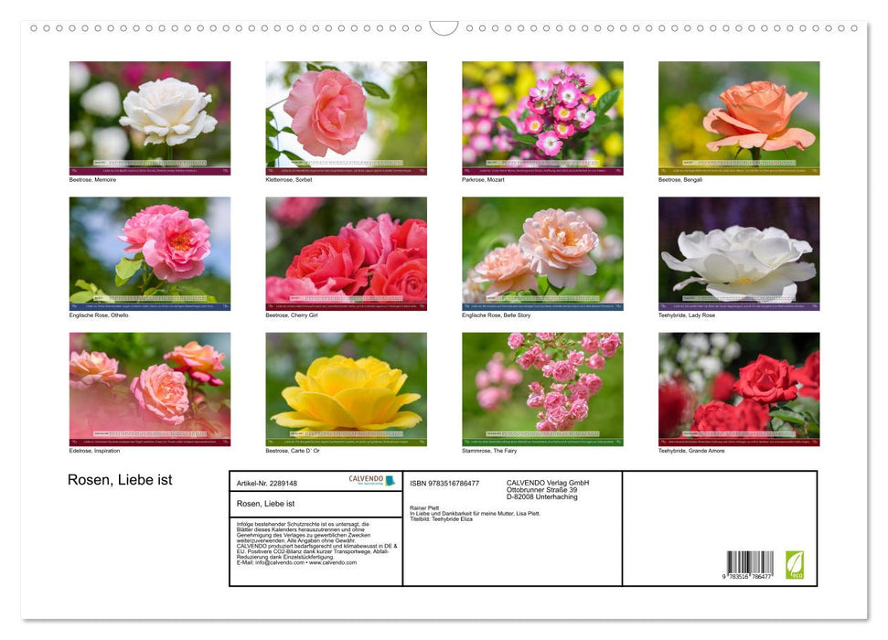 Rosen, Liebe ist (CALVENDO Wandkalender 2027)