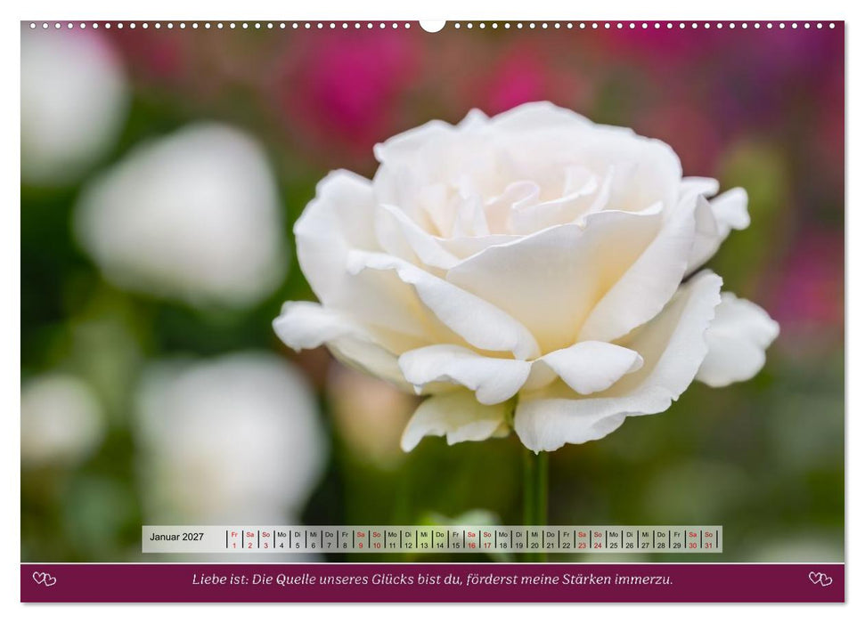 Rosen, Liebe ist (CALVENDO Wandkalender 2027)
