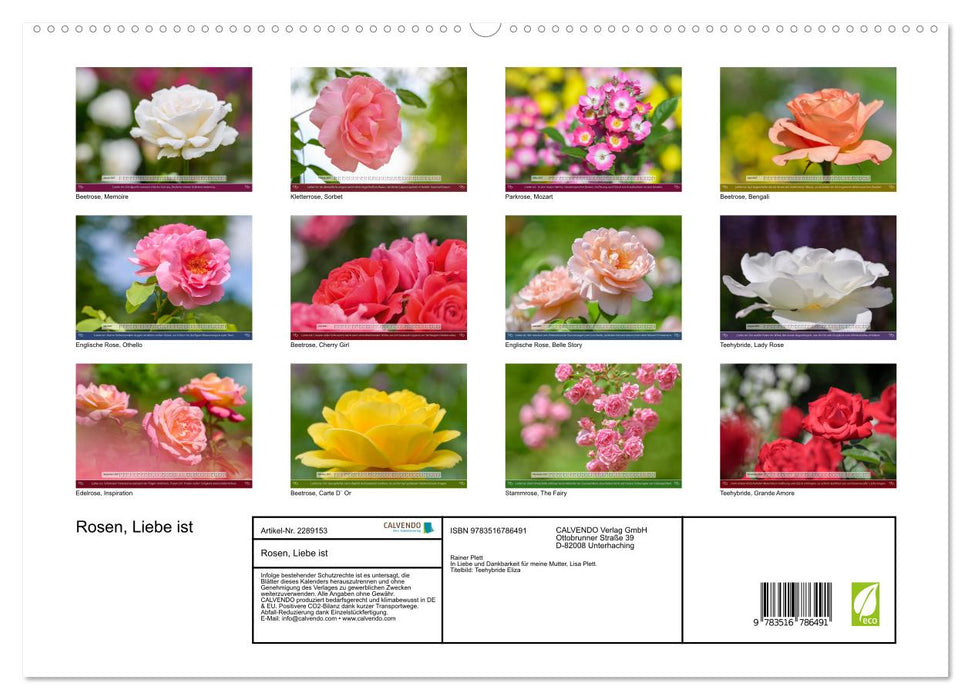 Rosen, Liebe ist (CALVENDO Premium Wandkalender 2027)