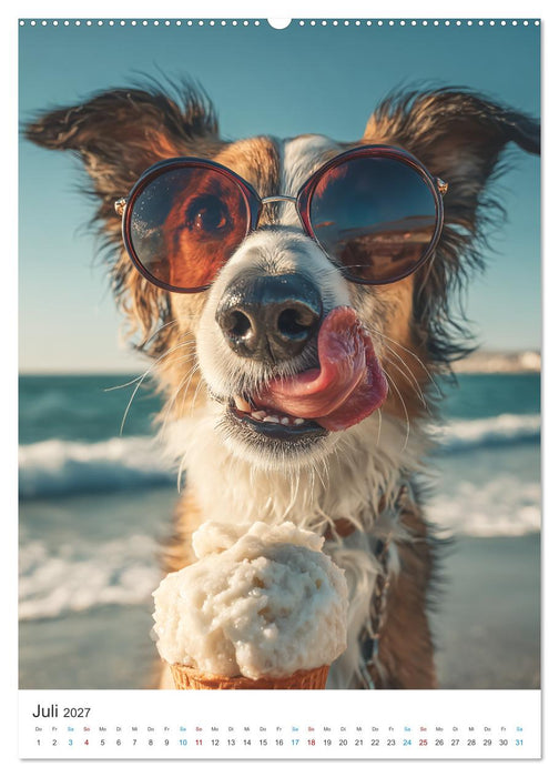 Lachen auf vier Pfoten (CALVENDO Premium Wandkalender 2027)