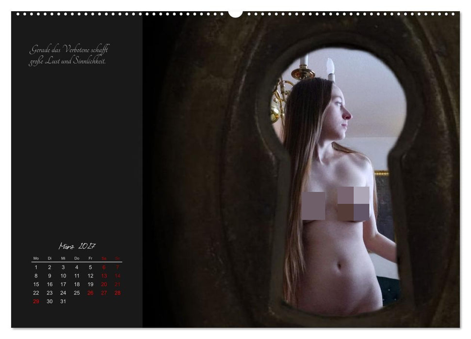 Mein heimliches Schlüsselloch (CALVENDO Wandkalender 2027)
