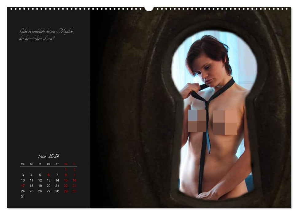 Mein heimliches Schlüsselloch (CALVENDO Wandkalender 2027)
