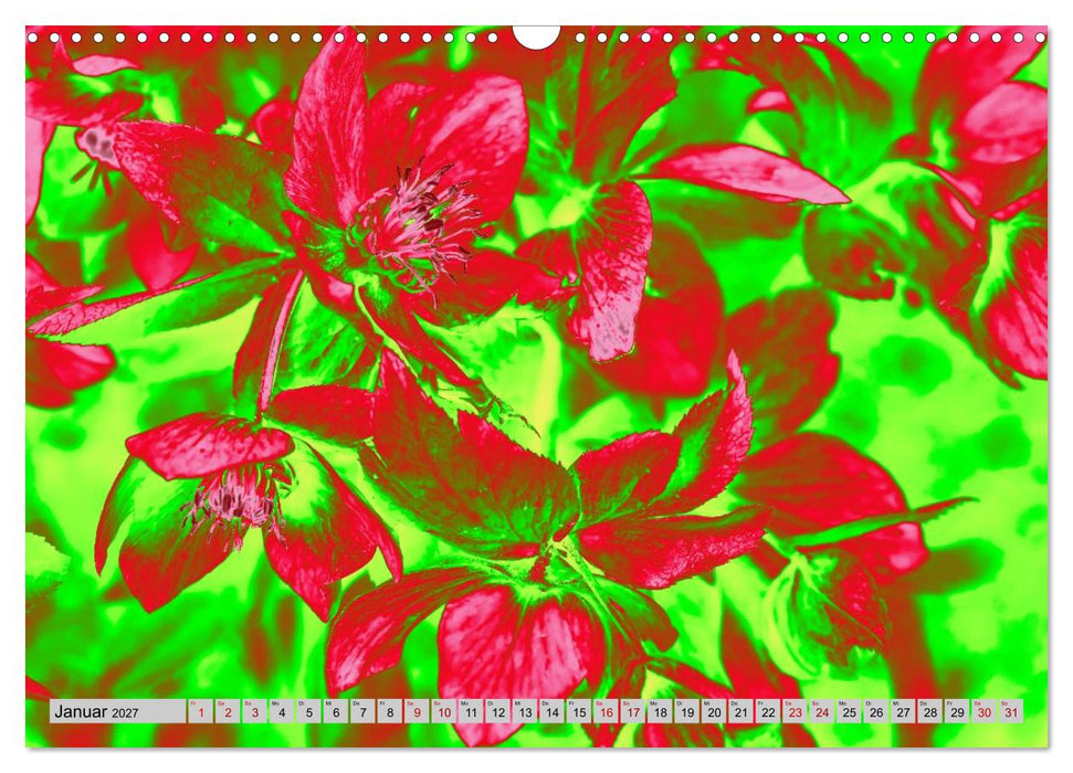 Blumen Pop-Art (CALVENDO Wandkalender 2027)