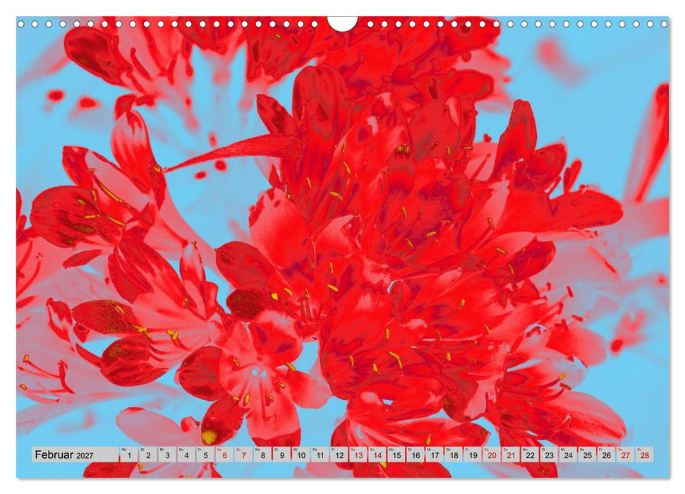 Blumen Pop-Art (CALVENDO Wandkalender 2027)